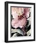 Happy Bloom on Black II-Lanie Loreth-Framed Art Print