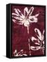 Happy Blooms 1-Jurgen Gottschlag-Framed Stretched Canvas