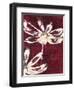 Happy Blooms 2-Jurgen Gottschlag-Framed Art Print