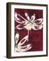 Happy Blooms 2-Jurgen Gottschlag-Framed Art Print