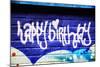 Happy Brithday In Graffiti-sammyc-Mounted Photographic Print