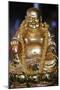 Happy Buddha statue, Tu An Buddhist Temple, Saint-Pierre-en-Faucigny, Haute Savoie, France-Godong-Mounted Photographic Print