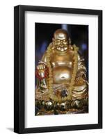 Happy Buddha statue, Tu An Buddhist Temple, Saint-Pierre-en-Faucigny, Haute Savoie, France-Godong-Framed Photographic Print