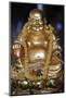 Happy Buddha statue, Tu An Buddhist Temple, Saint-Pierre-en-Faucigny, Haute Savoie, France-Godong-Mounted Photographic Print