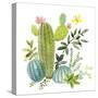 Happy Cactus I-Jane Maday-Stretched Canvas