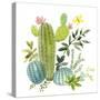 Happy Cactus I-Jane Maday-Stretched Canvas