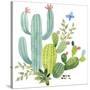 Happy Cactus IV-Jane Maday-Stretched Canvas