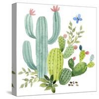 Happy Cactus IV-Jane Maday-Stretched Canvas