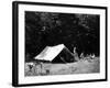 Happy Campers-null-Framed Photographic Print