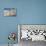 Happy Cat in Brooklyn NY Photo Poster-null-Stretched Canvas displayed on a wall