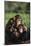 Happy Chimpanzee Family-DLILLC-Mounted Photographic Print