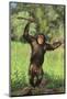 Happy Chimpanzee-DLILLC-Mounted Photographic Print