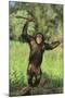 Happy Chimpanzee-DLILLC-Mounted Photographic Print