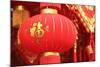 Happy Chinese New Year : Red Chinese Lanterns with Chinese Words Meaning: Fortune , Happiness and G-lzf-Mounted Photographic Print