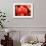 Happy Chinese New Year : Red Chinese Lanterns with Chinese Words Meaning: Fortune , Happiness and G-lzf-Framed Photographic Print displayed on a wall