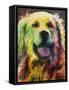 Happy Companion I-Walt Johnson-Framed Stretched Canvas