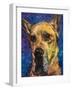 Happy Companion II-Walt Johnson-Framed Art Print