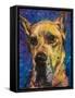 Happy Companion II-Walt Johnson-Framed Stretched Canvas