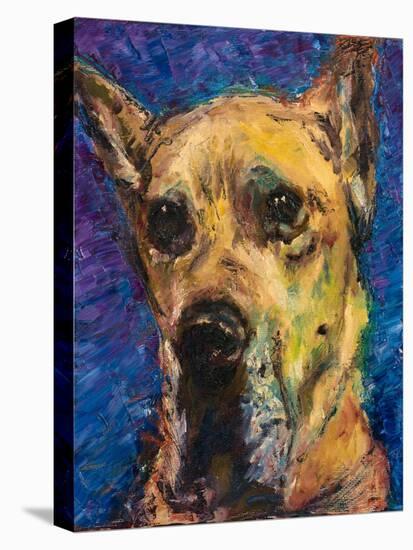 Happy Companion II-Walt Johnson-Stretched Canvas