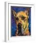 Happy Companion II-Walt Johnson-Framed Art Print