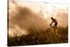 Happy Couple Riding Bicycles Outside, Healthy Lifestyle Fun Concept. Silhouette at Sunset Panoramic-warrengoldswain-Stretched Canvas