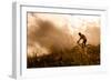 Happy Couple Riding Bicycles Outside, Healthy Lifestyle Fun Concept. Silhouette at Sunset Panoramic-warrengoldswain-Framed Photographic Print