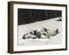 Happy Couple Sunbathing on Beach-null-Framed Photo