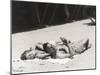 Happy Couple Sunbathing on Beach-null-Mounted Photo