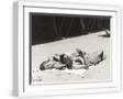 White Frame