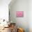 Happy Cupcakes - Pink-Dominique Vari-Mounted Art Print displayed on a wall