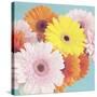 Happy Daisies-Susannah Tucker-Stretched Canvas