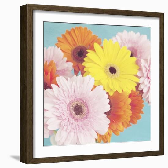 Happy Daisies-Susannah Tucker-Framed Art Print