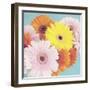 Happy Daisies-Susannah Tucker-Framed Art Print