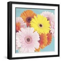 Happy Daisies-Susannah Tucker-Framed Art Print