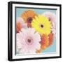 Happy Daisies-Susannah Tucker-Framed Art Print