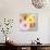 Happy Daisies-Susannah Tucker-Art Print displayed on a wall