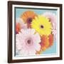 Happy Daisies-Susannah Tucker-Framed Art Print