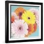 Happy Daisies-Susannah Tucker-Framed Art Print