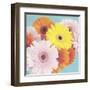 Happy Daisies-Susannah Tucker-Framed Art Print