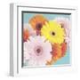 Happy Daisies-Susannah Tucker-Framed Art Print