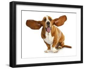 Happy Dog - Basset Hound With Ears Up-Willee Cole-Framed Photographic Print