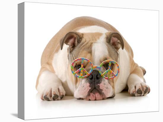 Happy Dog - English Bulldog Wearing Peace Sign Glasses Laying Down-Willee Cole-Stretched Canvas