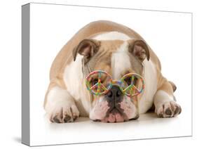 Happy Dog - English Bulldog Wearing Peace Sign Glasses Laying Down-Willee Cole-Stretched Canvas