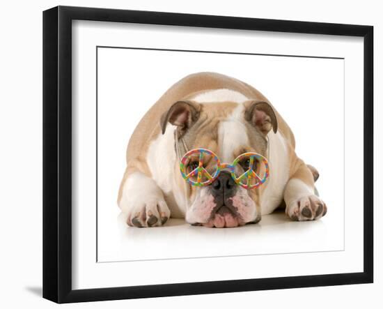 Happy Dog - English Bulldog Wearing Peace Sign Glasses Laying Down-Willee Cole-Framed Photographic Print