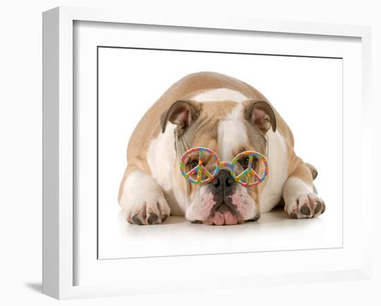 Happy Dog - English Bulldog Wearing Peace Sign Glasses Laying Down-Willee Cole-Framed Photographic Print