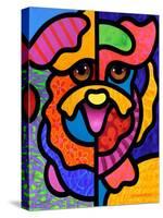 Happy Dog-Steven Scott-Stretched Canvas