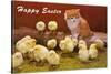 Happy Easter, Kitten and Chicks-null-Stretched Canvas