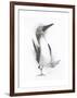 Happy Feet-Barbara Keith-Framed Giclee Print