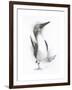 Happy Feet-Barbara Keith-Framed Giclee Print