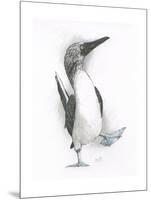 Happy Feet-Barbara Keith-Mounted Giclee Print